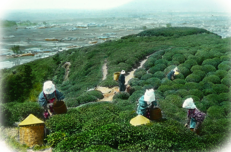 Illustration for article titled Hand-Colored Photos Turn Early 20th Century Japan Into A Dream World
